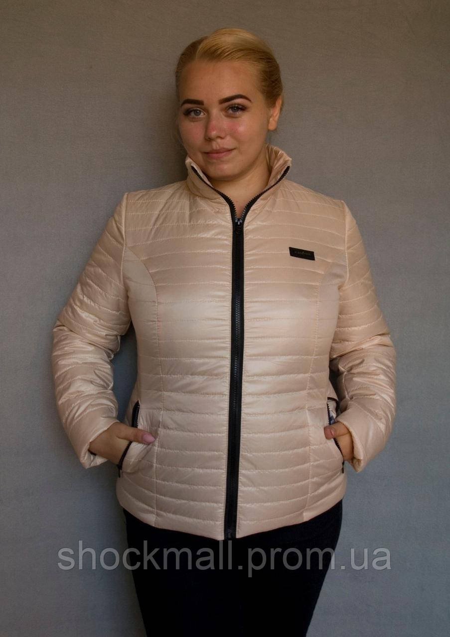 Zarina куртка модель 420429129