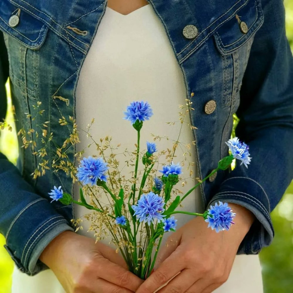 Венок из Васильков