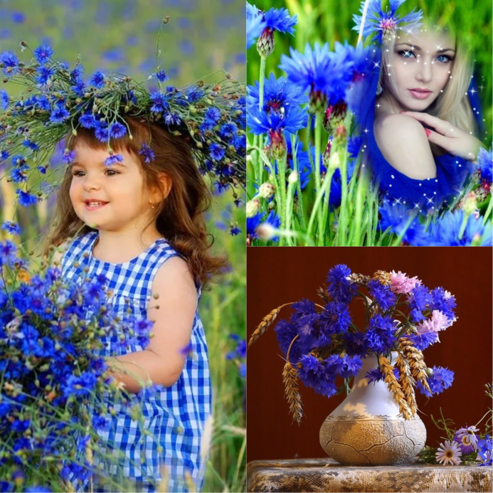 Платье в цветочек