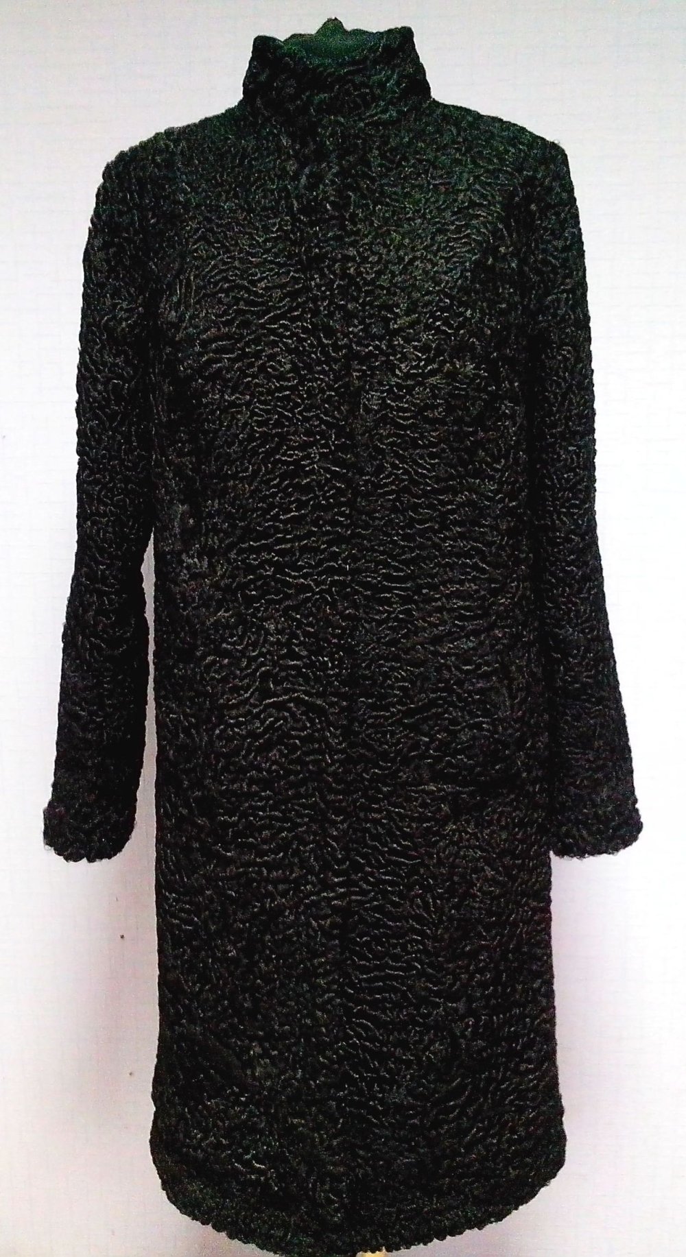 Африканская каракульча свакара