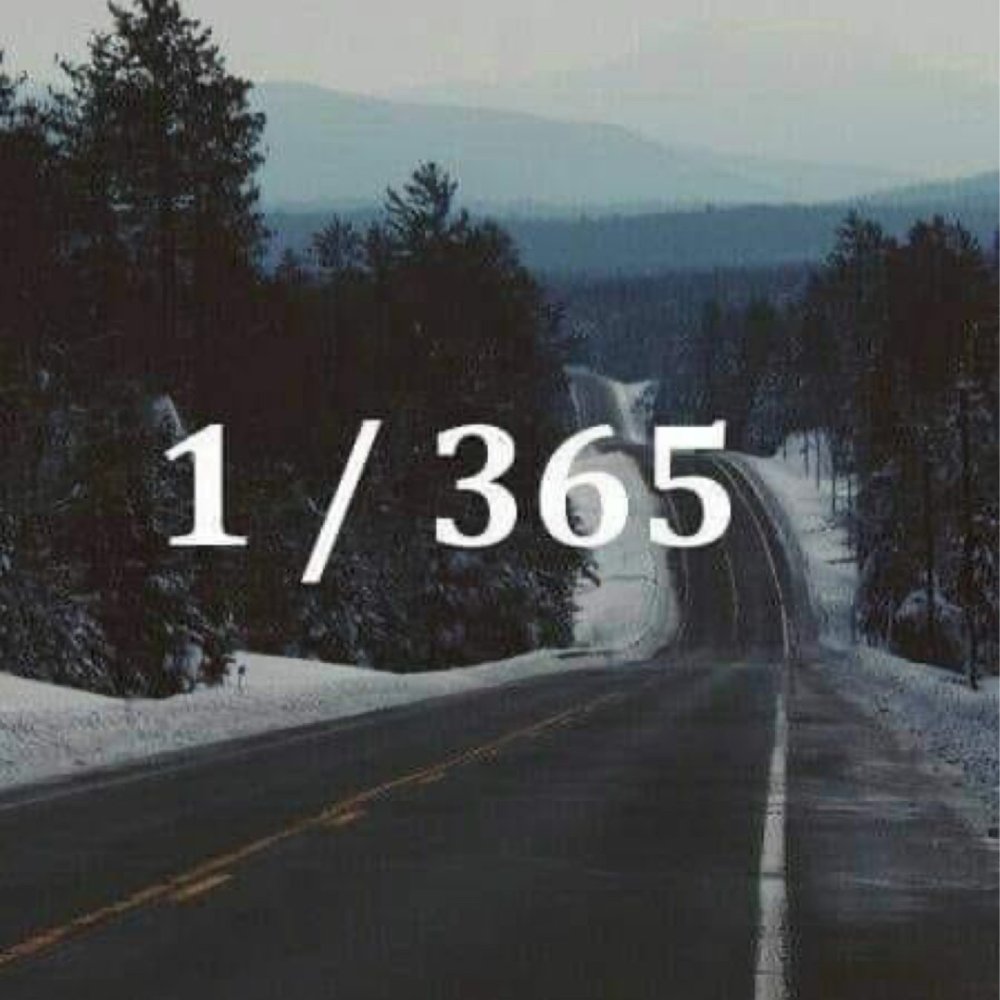 1 Из 365 дней