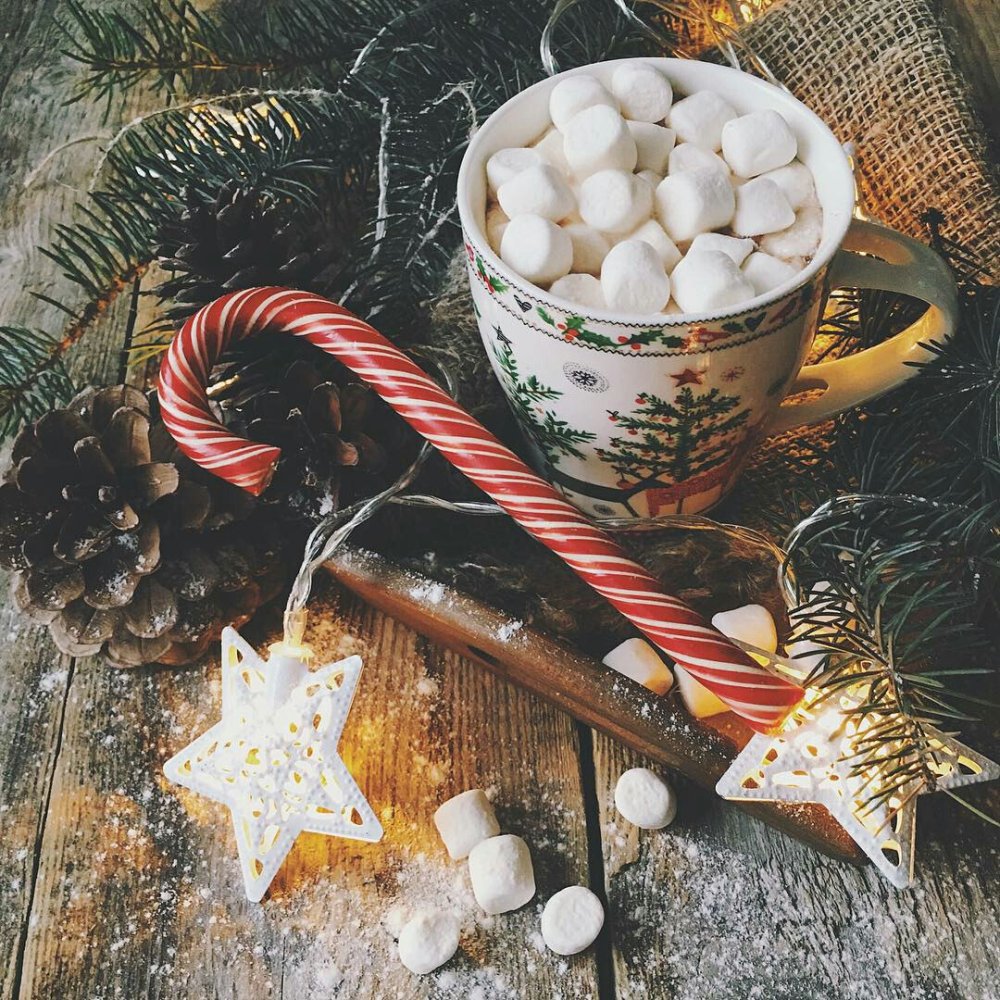 365 Дней новый год