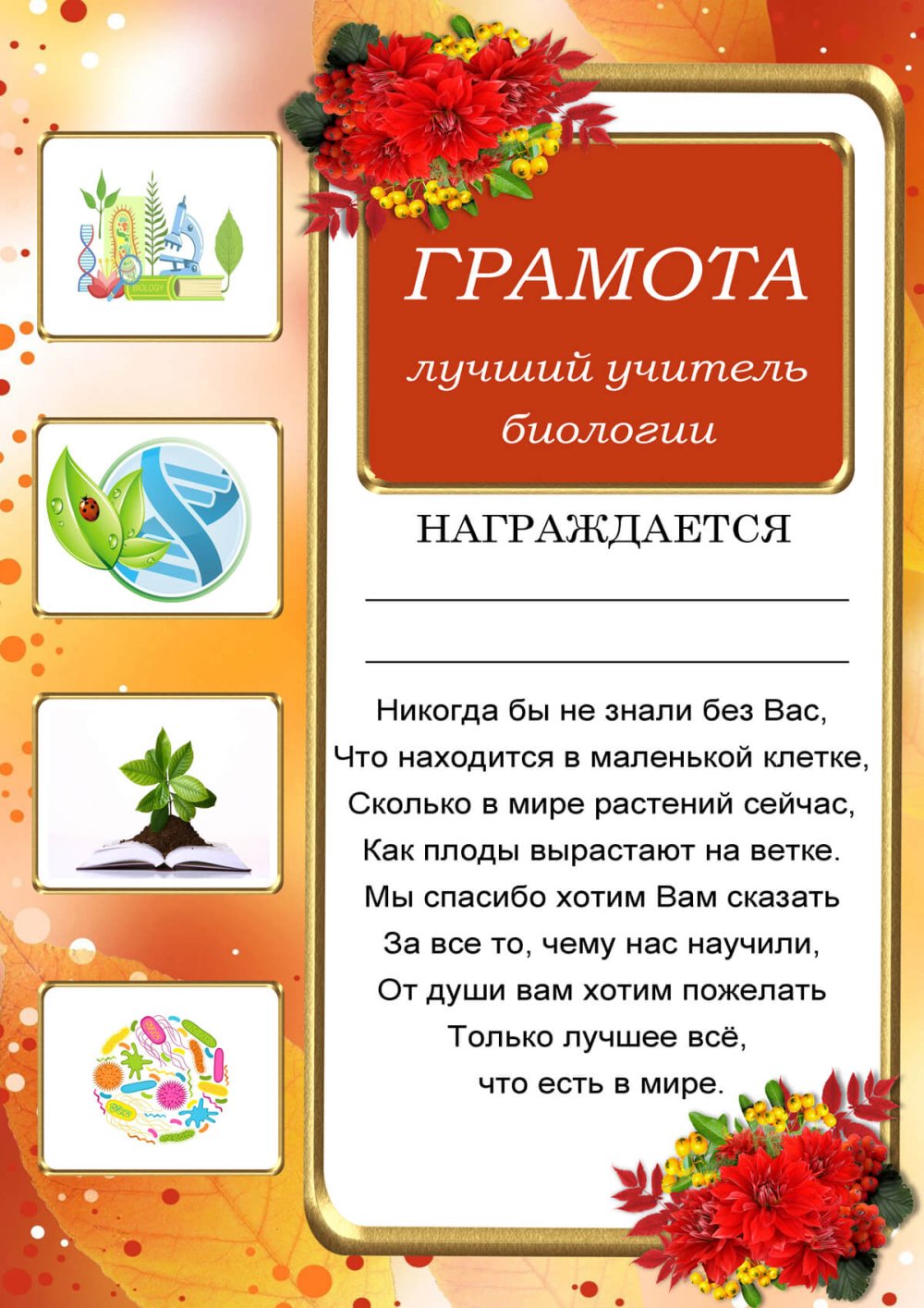 Диплом лучшего учителя